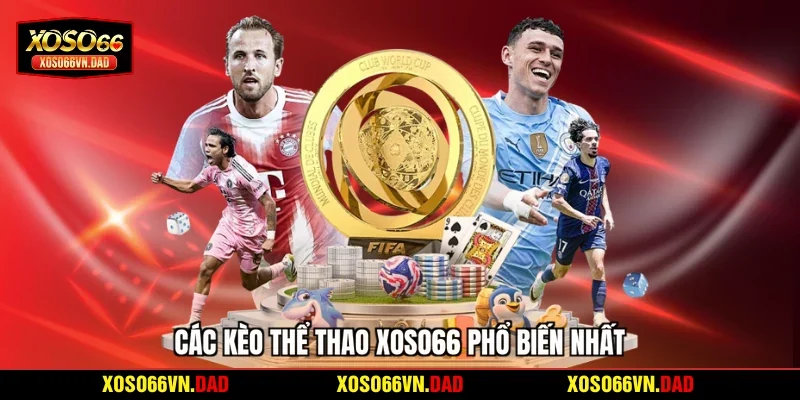 Các kèo thể thao Xoso66 phổ biến nhất