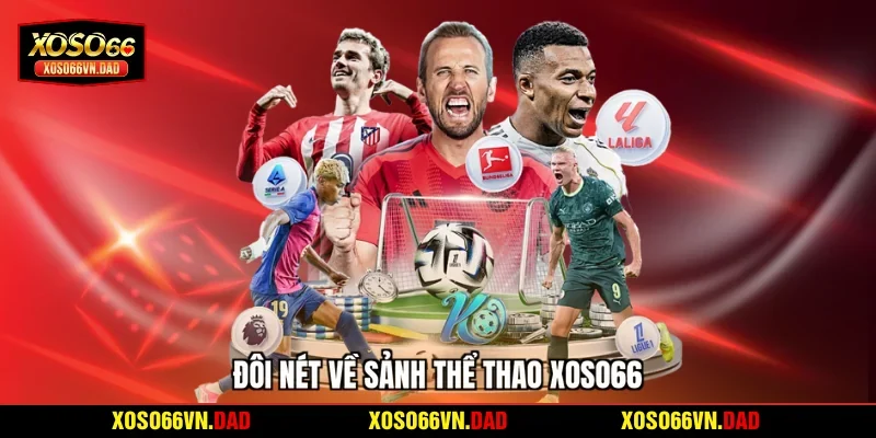 Đôi nét về sảnh thể thao Xoso66