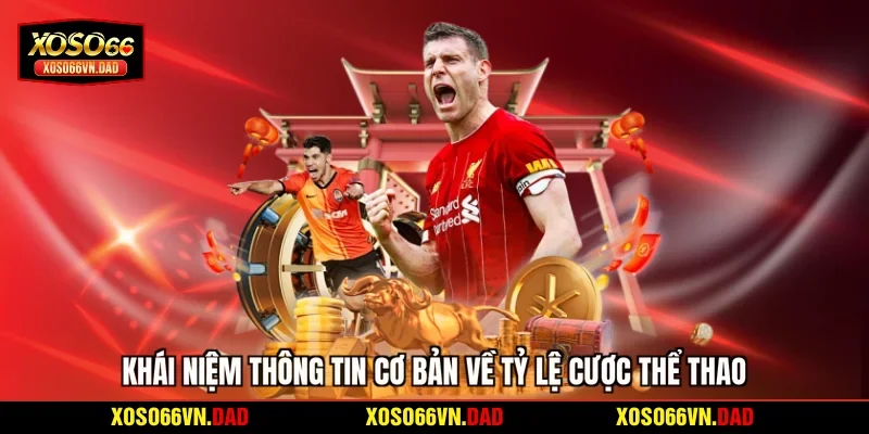 Khái niệm thông tin cơ bản về tỷ lệ cược thể thao