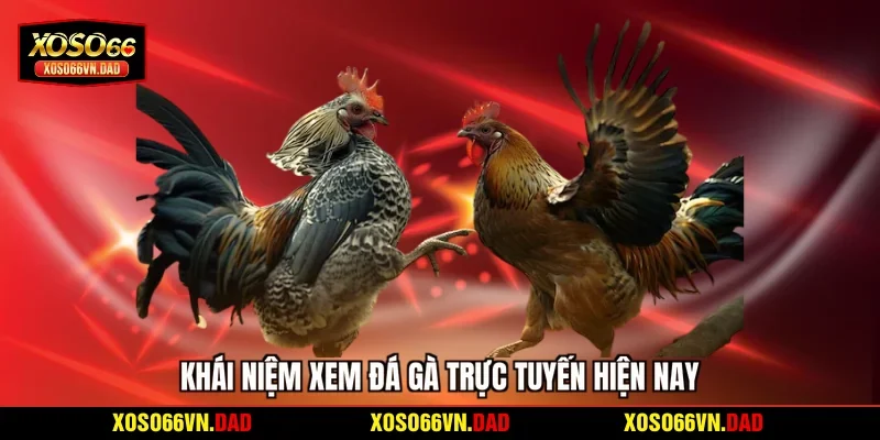 Khái niệm xem đá gà trực tuyến hiện nay