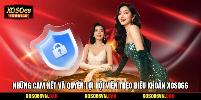 Những cam kết và quyền lợi hội viên theo điều khoản Xoso66