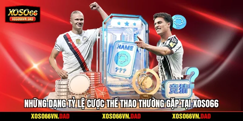 Những dạng tỷ lệ cược thể thao thường gặp tại Xoso66