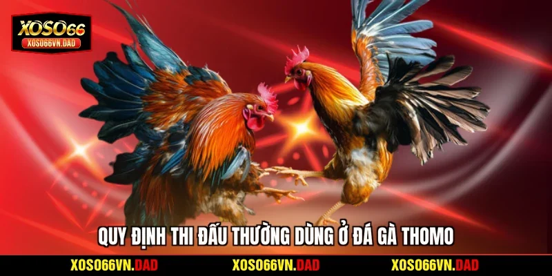 Quy định thi đấu thường dùng ở đá gà Thomo