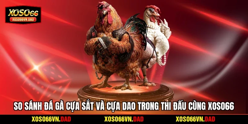 So sánh đá gà cựa sắt và cựa dao trong thi đấu cùng Xoso66