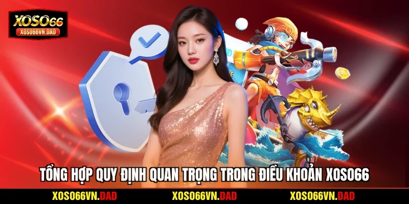 Tổng hợp quy định quan trọng trong điều khoản Xoso66