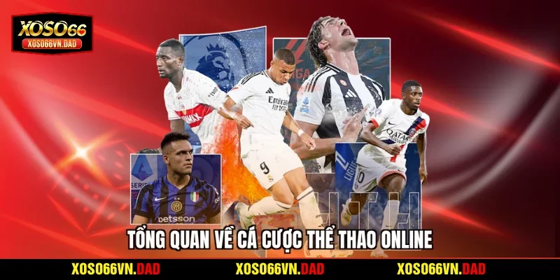 Tổng quan về cá cược thể thao online