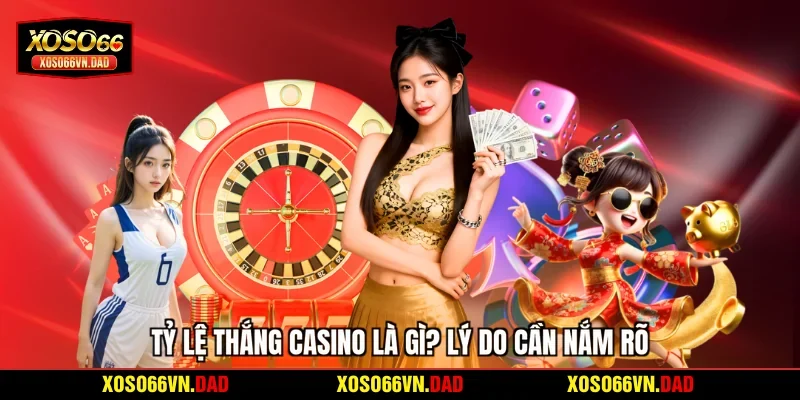 Tỷ lệ thắng casino là gì? Lý do cần nắm rõ